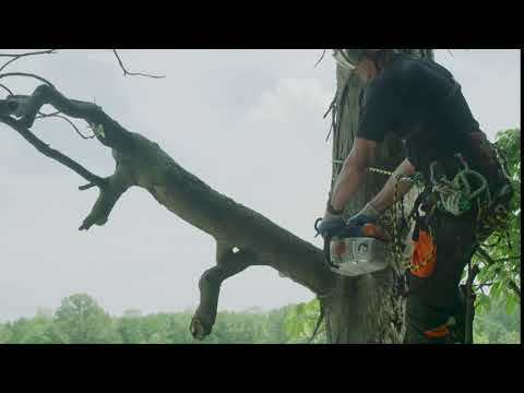 Ms 194 T Top Handle Chainsaw Ms 194 T Top Handle Chainsaw