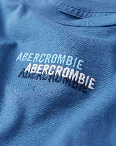 Abercrombie & Fitch Multi-Hit Logo Tee
