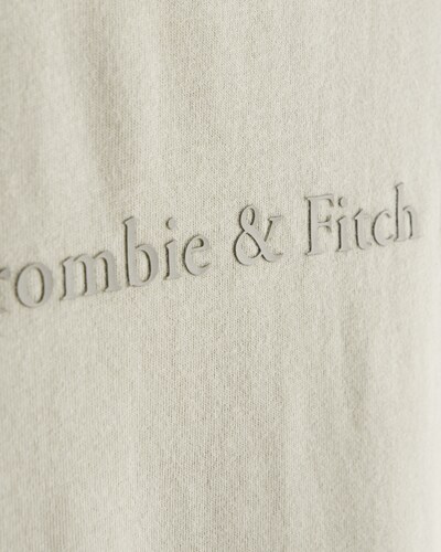 Abercrombie & Fitch Print Logo Tee