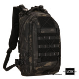 SINAIRSOFT 25L Tactical Backpack Assault Pack Molle Outdoor Camping Hiking Trekking Bag Men