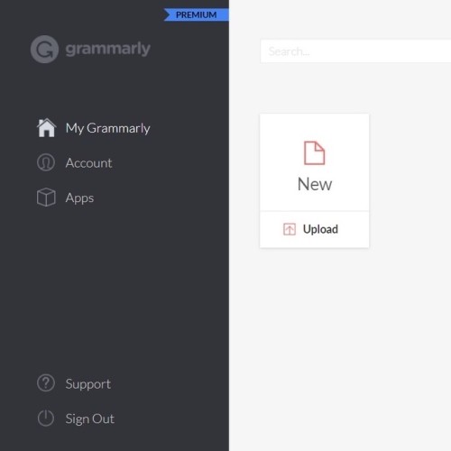 Grammarly Premium Business  Account [Upgrade Own Account]