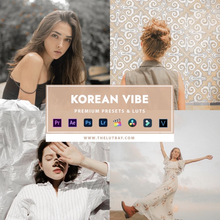 [⭐️⭐️⭐️⭐️⭐️] Korean Vibe Premium Presets & LUTs 🔥 Preset/Lut For Desktop & Mobile Lightroom/VN/PR/AE/PS/FCPX/Davinci