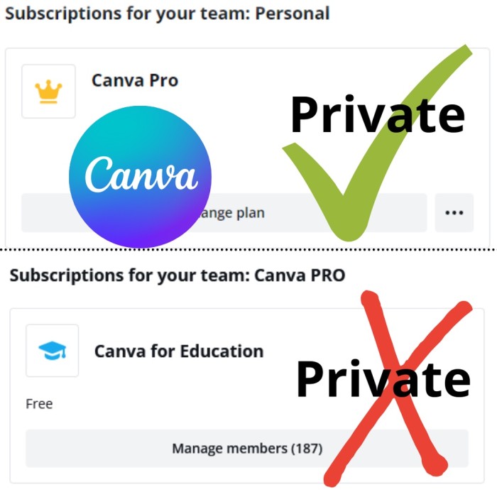 Canva Pro Lifetime subscription Upgrade | Business Edition | Unlimited Storage | Pro Template | Magic Resize | EDU
