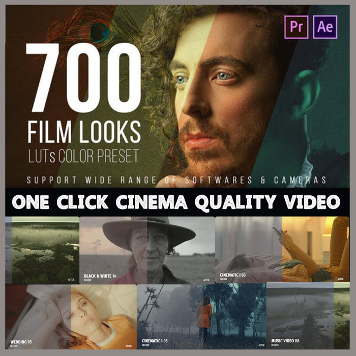 700 Film Looks - LUT Color Preset Bundle (Premiere Pro, After Effects, Many more)