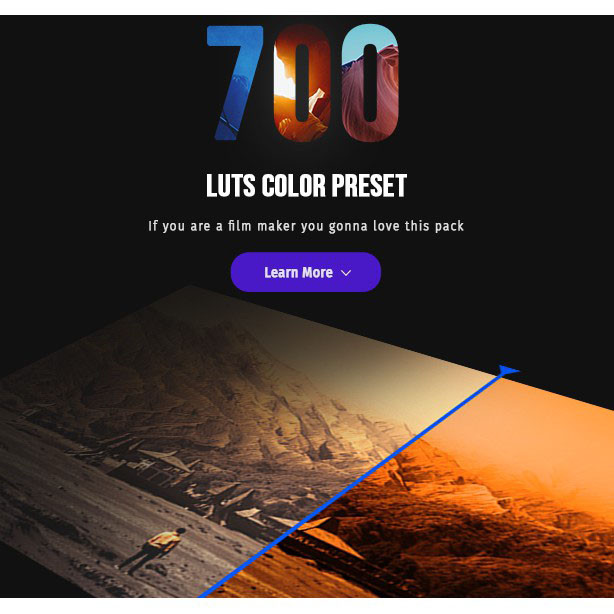 700 Film Looks - LUT Color Preset Bundle (Premiere Pro, After Effects, Many more)
