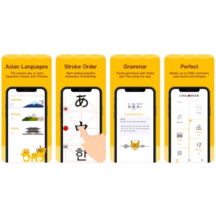 LingoDeer Plus Premium 🔥 (Latest Version 2022) | Lifetime Premium | Vocabulary & Grammar Training | -Android