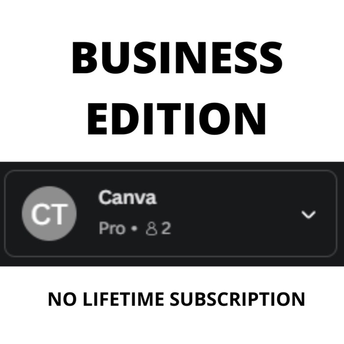 Actualización de la suscripción a Canva Pro Lifetime | Edición empresarial | Almacenamiento ilimitado | Plantilla profesional | Cambio de tamaño mágico | educación