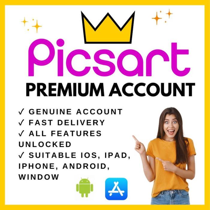 𝙿𝚒𝚌𝚜𝚊𝚛𝚝 Premium Account i0S Android Window