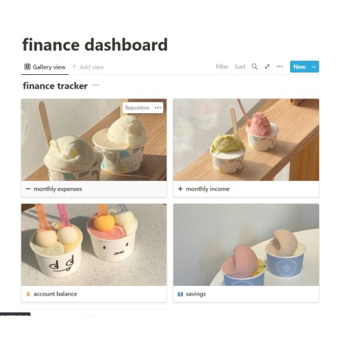 finance dashboard NOTION TEMPLATE (easy to use)