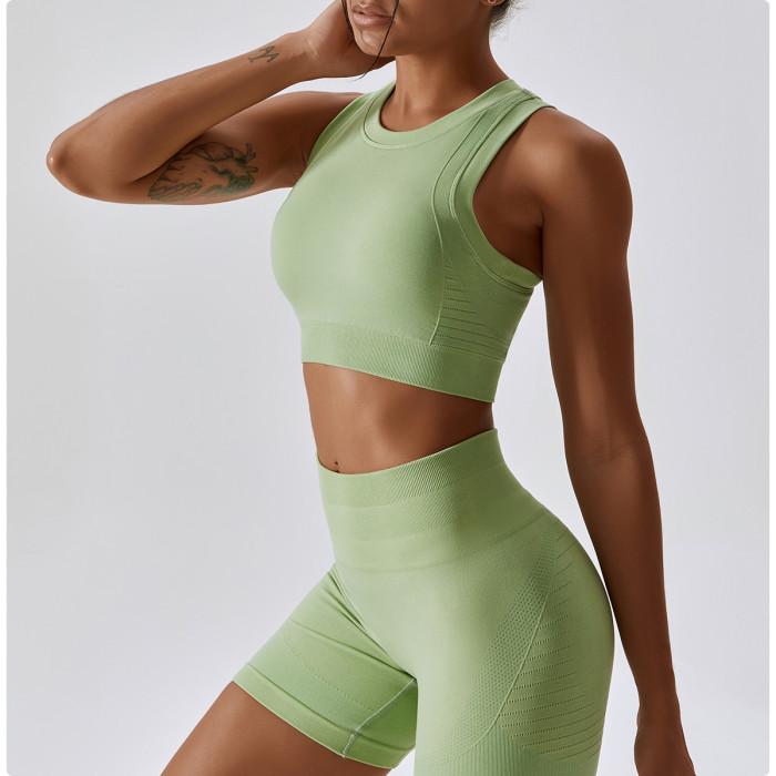 Wholesale New Yoga Clothing Seamless Sports Bra High Waist Gym Leggings Shorts Women