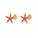 Zircon Starfish Stud Earrings
