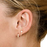 Flower Zircon Arch Earring