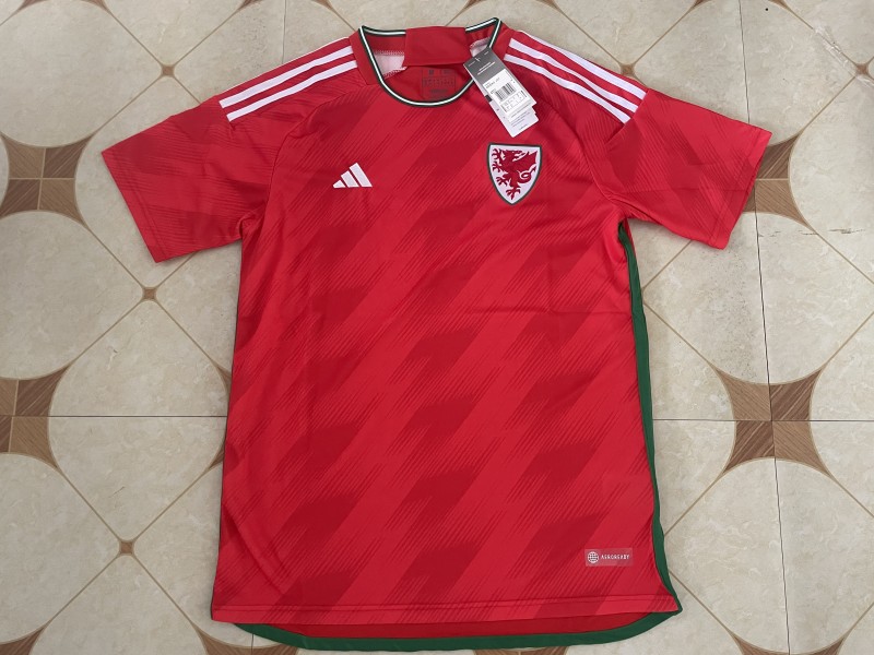 Wales home 2022 qatar world cup