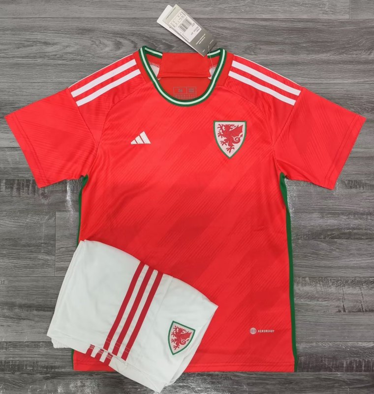 Wales home kid 2022 qatar world cup with WHITE shorts