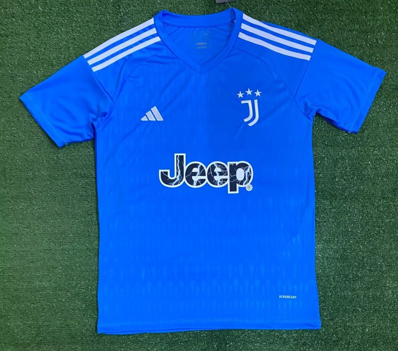 Juventus goalkeeper blue 23-24