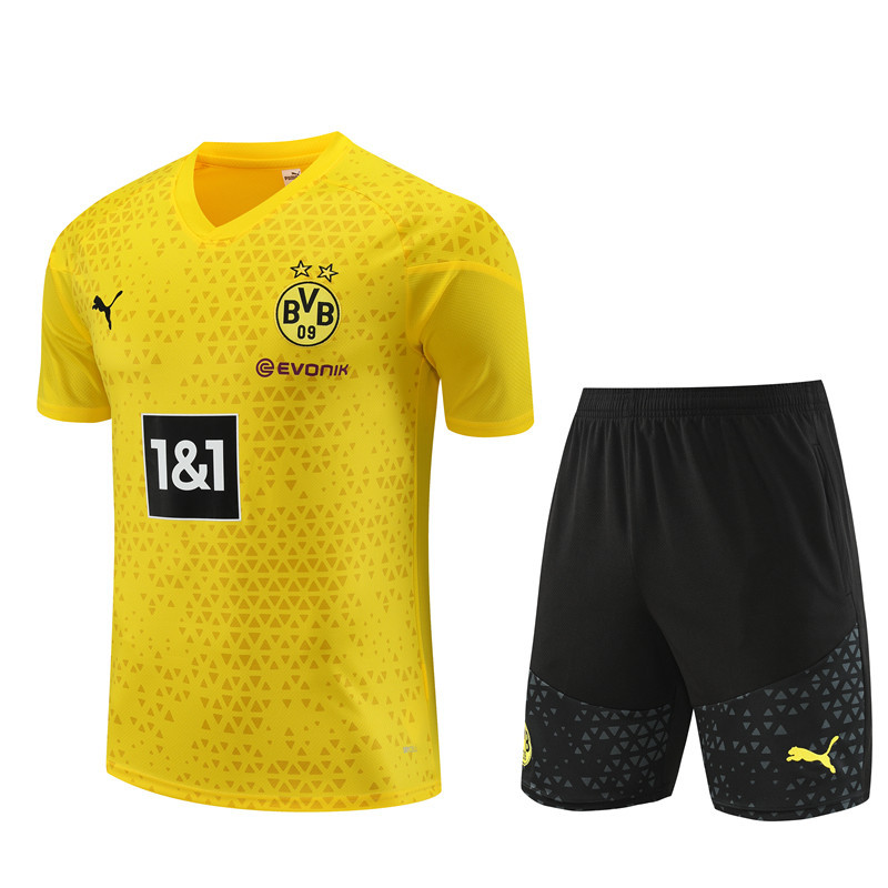 Dortmund training shirt yellow kid adult 23-24 #801