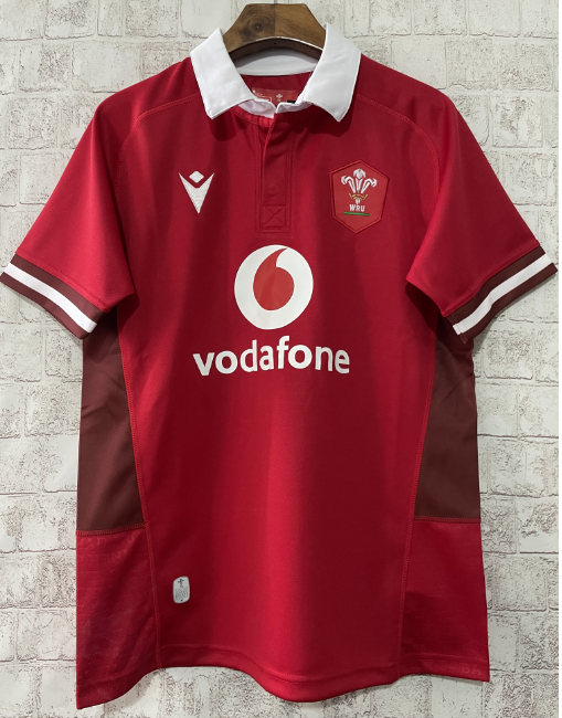Wales home 2024 rugby