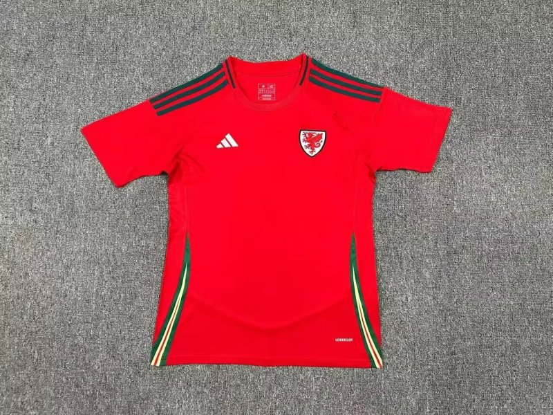 Wales home 2024