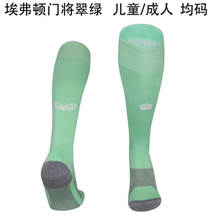 Everton goalkeeper green sock 25-26