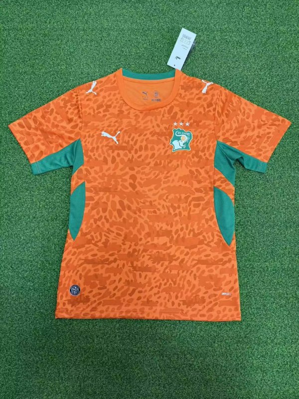 Cote d'Ivoire home S-4XL 2026 WC