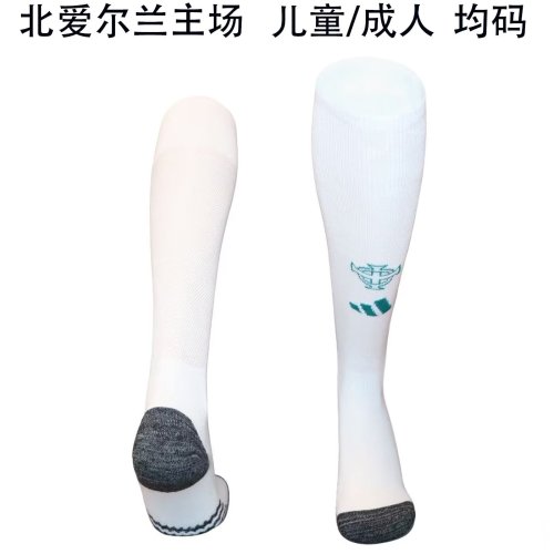 Northern Ireland home sock 2026 WC