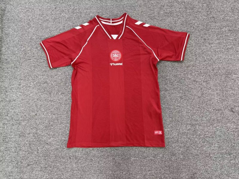 Denmark home S-4XL 2026 WC
