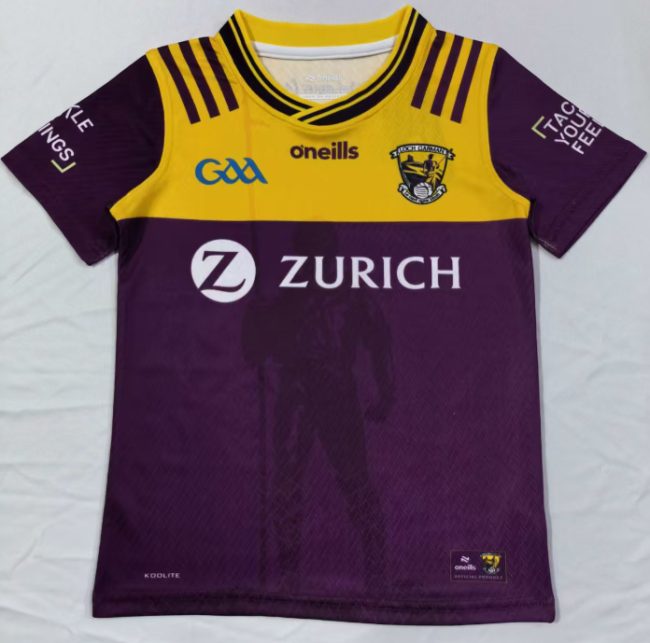 Wexford purple kid GAA 2026