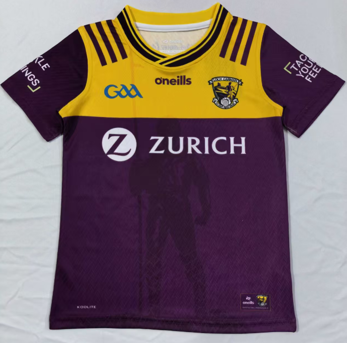 Wexford purple kid GAA 2026