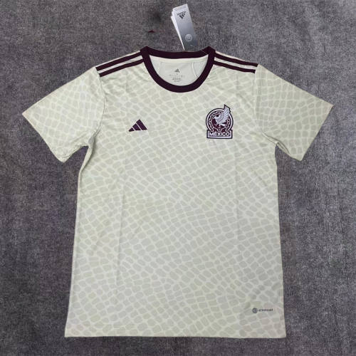  Mexico 2022 World Cup Away Jersey
