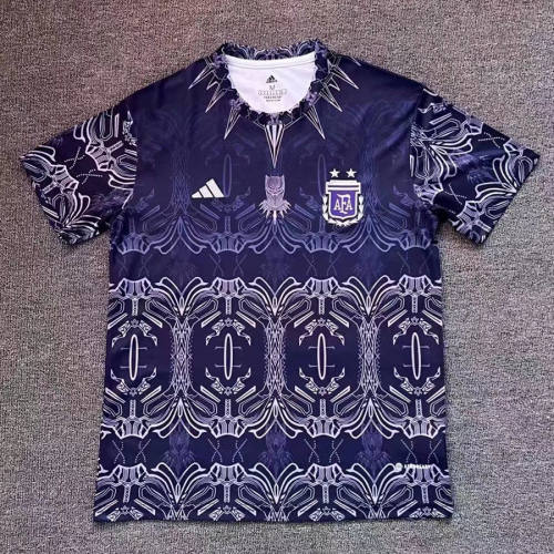 Argentina 2022 Special Jersey - Purple