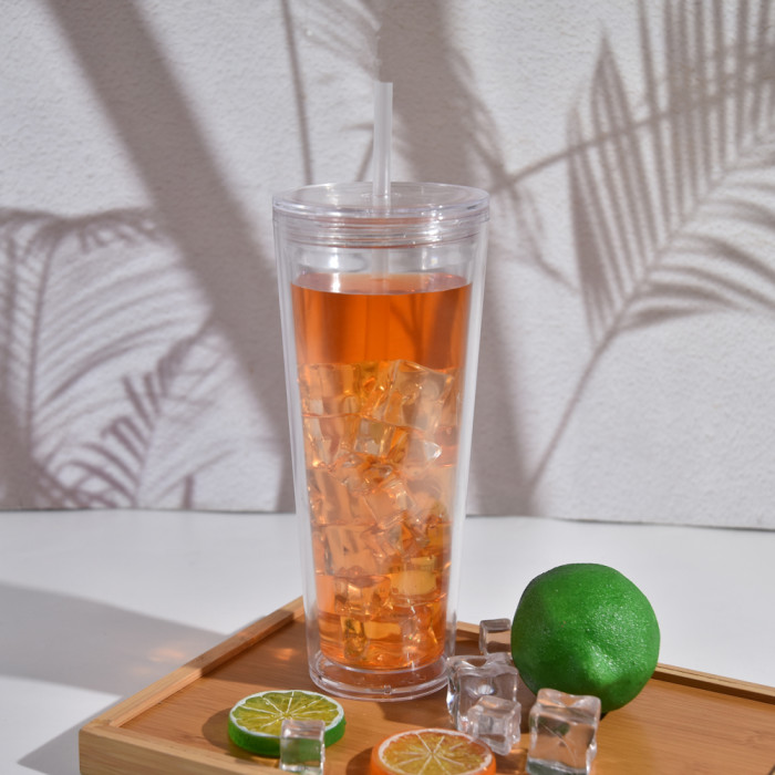 US warehosue BPA Free Double Wall Acrylic 24oz Clear Snow Globe Plastic Cup