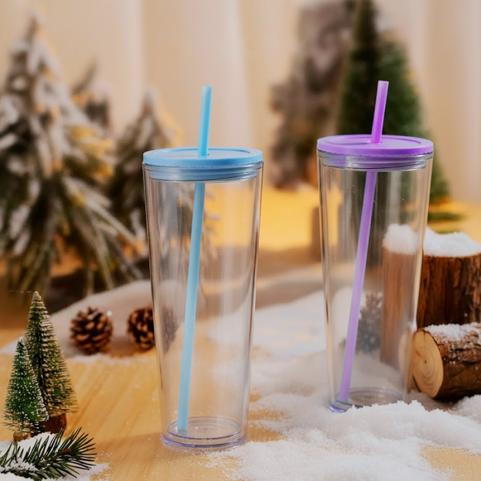 US warehosue 24oz Double Wall Acrylic Clear Snow Globe Plastic Cup Mixed Colored Lid+Straw