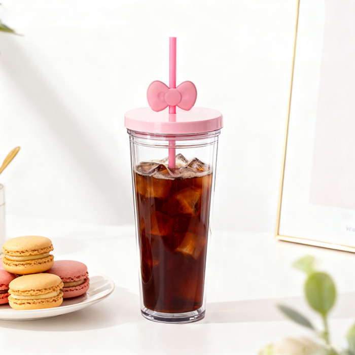 US warehosue 24oz Double Wall Acrylic Snow Globe Plastic Cup Pre-hole with plugs the Straw with Bowknot
