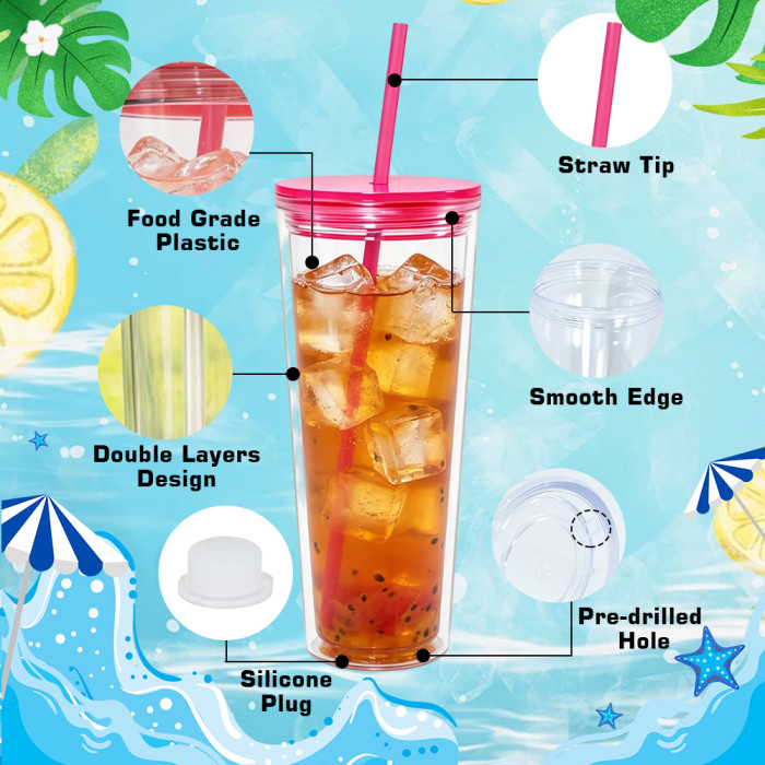 US warehosue 24oz Double Wall Acrylic Clear Snow Globe Plastic Cup Mixed Colored Lid+Straw