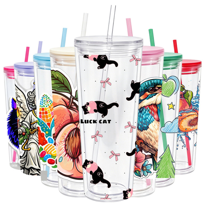 US warehosue 24oz Double Wall Acrylic Clear Snow Globe Plastic Cup Mixed Colored Lid+Straw