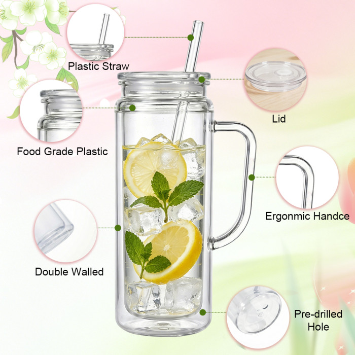 US warehosue Acrylic Plastic 20oz Double Wall Snow Globe Cup with Clear lid and handle and Plugs
