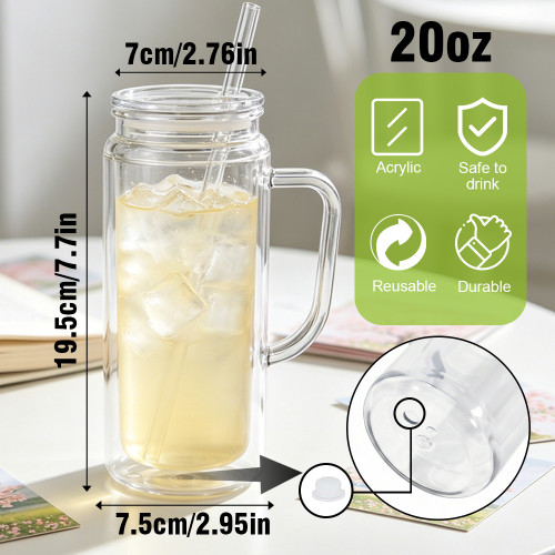 US warehosue Acrylic Plastic 20oz Double Wall Snow Globe Cup with Clear lid and handle and Plugs