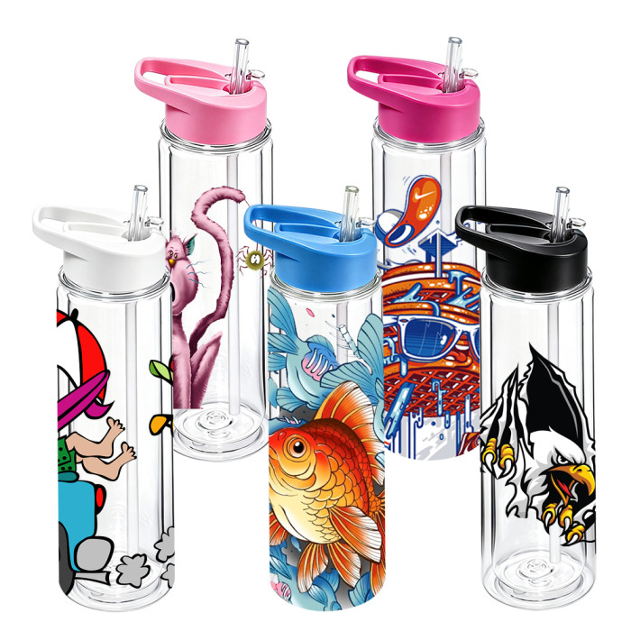 US warehosue 18oz Plastic Double Wall Snow Globe Kids Water Bottle with plug pre-hole,Cup BPA FREE