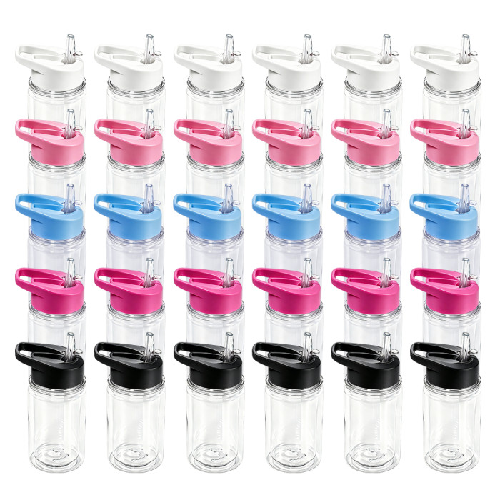 US warehosue 10oz Plastic Double Wall Snow Globe Kids Water Bottle with plug pre-hole,Cup BPA FREE