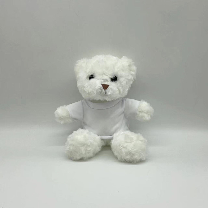 Locust Mix 25cm Color Cute Teddy Bear Toys With Sublimation T-shirt,24pcs/case