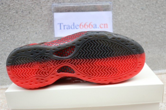 Nike Air Foamposite One “Doernbecher”