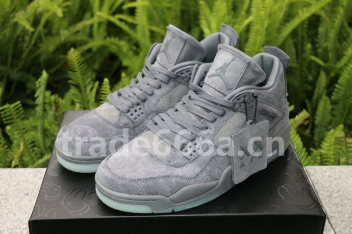 Authentic Kaws x Air Jordan 4 “Cool Grey”