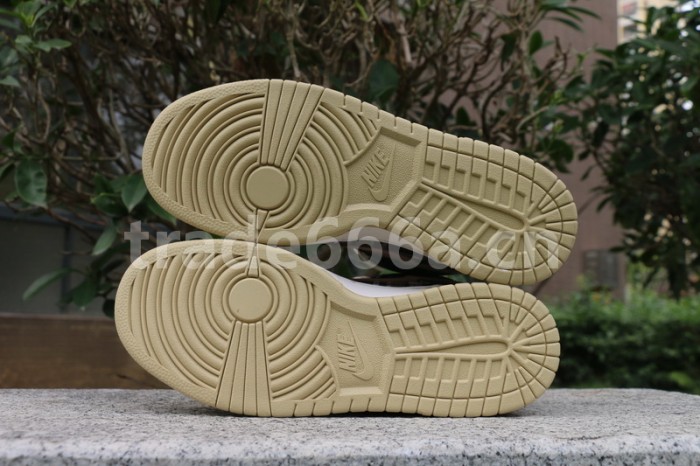 Authentic Travis Scott x Nike Dunk SB