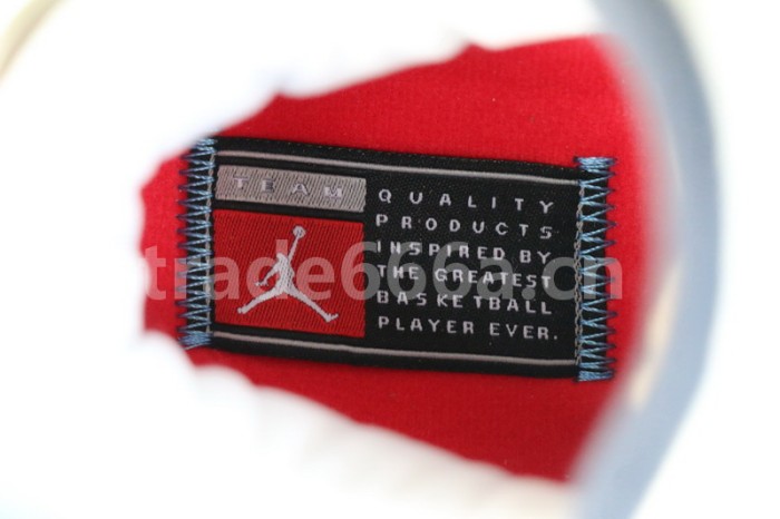 Authentic Air Jordan 3 “UNC” 2020