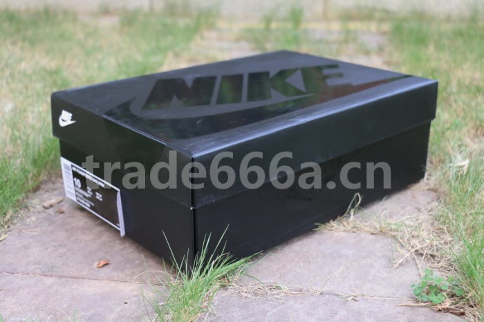 Authentic Air Foamposite PRM Abalone