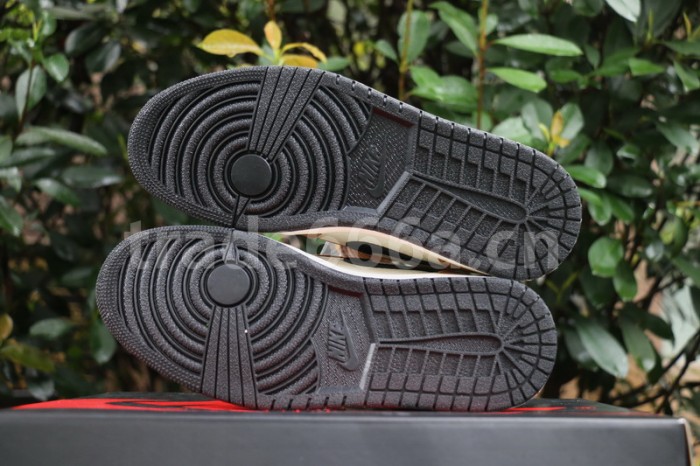 Authentic Air Jordan 1 “Rookie of the Year”