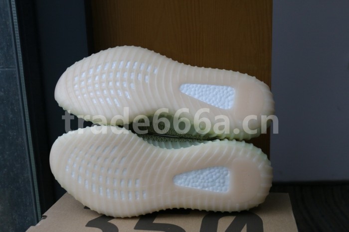 Authentic Yeezy Boost 350 V2 “ANTLIA” （full reflective）