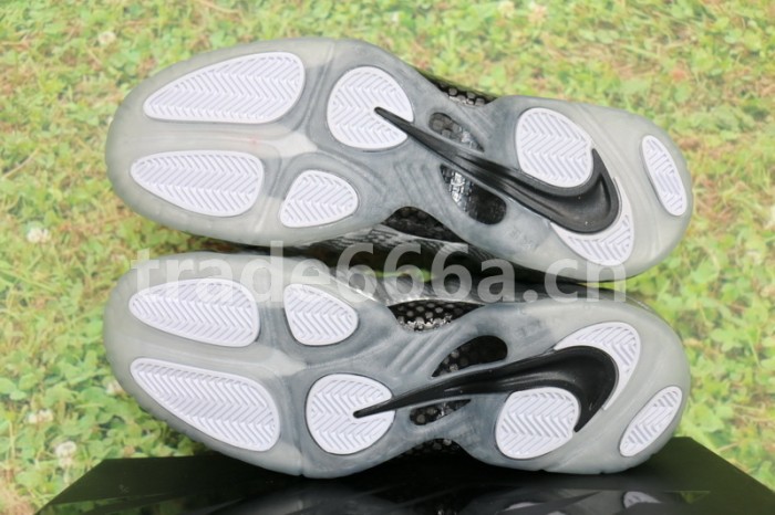 Authentic Nike Air Foamposite Pro “Silver Surfer”