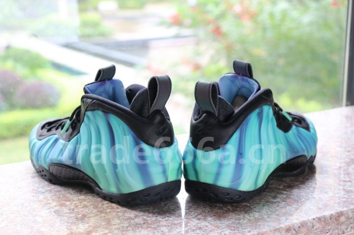 Authentic Nike Air Foamposite One “Northern Lights”