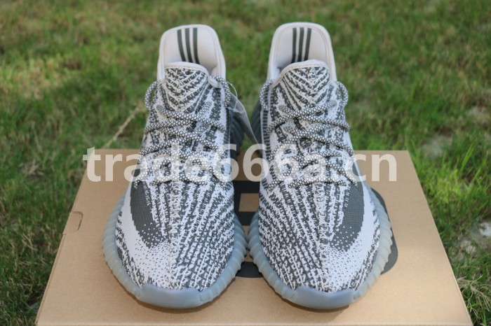 Authentic AD Yeezy 350 V2 Turtle Dove